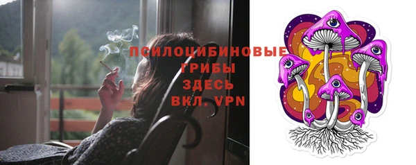 стаф Абинск