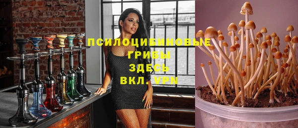 PSILOCYBIN Алзамай