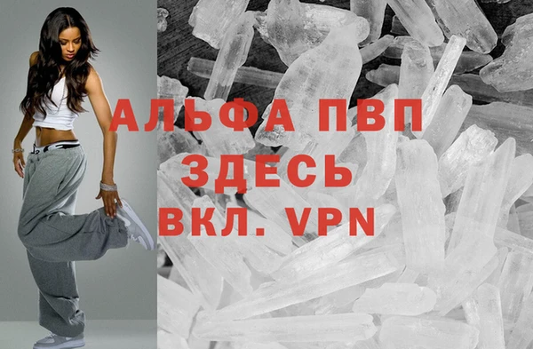 спиды Абаза