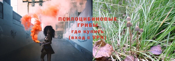 PSILOCYBIN Алзамай