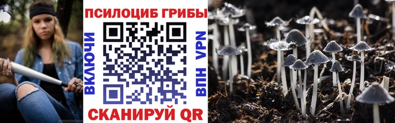 shop Telegram  Ярославль  Псилоцибиновые грибы GOLDEN TEACHER 