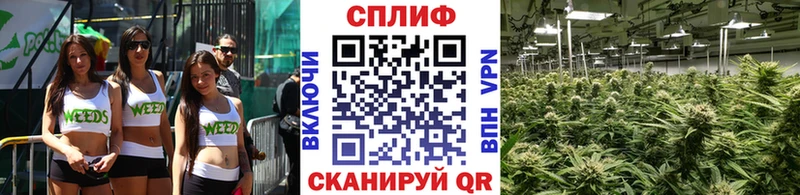 Бошки марихуана конопля Ярославль